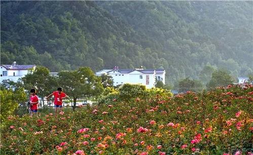 国产福利三区,探索中国影视产业的繁荣与魅力